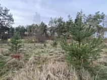 Prodej lesa, Kostelní Lhota, 9438 m2