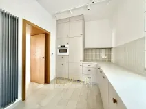 Pronájem atypického bytu, Teplice, J. V. Sládka, 134 m2