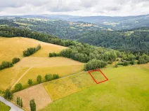 Prodej louky, Víchová nad Jizerou, 991 m2