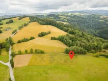 Prodej louky, Víchová nad Jizerou, 991 m2