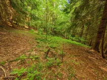 Prodej louky, Víchová nad Jizerou, 1867 m2