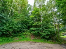 Prodej lesa, Nová Ves nad Nisou, 5031 m2