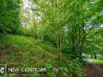 Prodej lesa, Nová Ves nad Nisou, 5031 m2