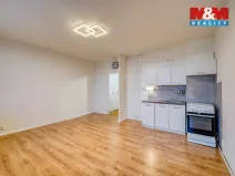 Pronájem bytu 1+kk, Plzeň - Bolevec, Tachovská, 27 m2
