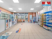 Pronájem komerční nemovitosti, Ústí nad Labem - Severní Terasa, Šrámkova, 181 m2