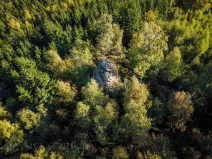 Prodej lesa, Šimonovice, 30343 m2