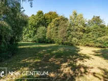 Prodej lesa, Šimonovice, 30343 m2