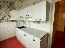 Prodej bytu 2+1, Plzeň, U Borského parku, 58 m2