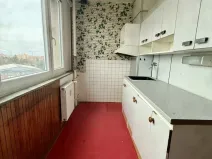 Prodej bytu 2+1, Plzeň, U Borského parku, 58 m2