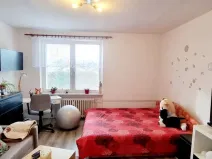 Pronájem bytu 1+1, Opava, 17. listopadu, 38 m2