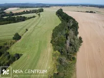 Prodej lesa, Obruby, 3075 m2