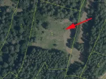 Prodej louky, Šumperk, 10154 m2