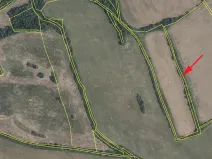 Prodej louky, Mašťov, 2645 m2