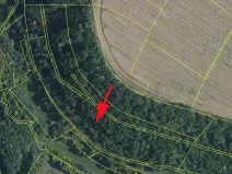 Prodej lesa, Skuteč, 14689 m2