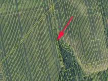 Prodej pole, Kněždub, 1981 m2