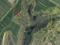 Prodej lesa, Mšeno, 1050 m2