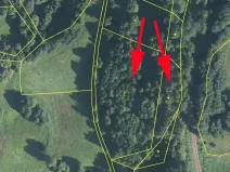 Prodej lesa, Bernartice, 9502 m2