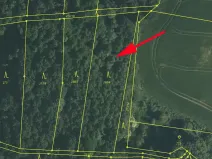 Prodej lesa, Zlatá Koruna, 2465 m2