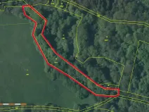Prodej lesa, Kozly, 3340 m2