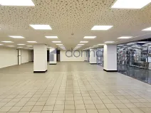Pronájem obchodního prostoru, Praha, Na Poříčí, 360 m2