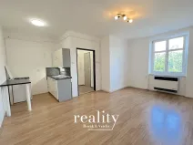 Pronájem bytu 1+kk, Znojmo, Růženy Svobodové, 31 m2