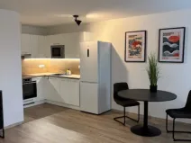 Pronájem bytu 2+kk, Dašice, 28. října, 55 m2