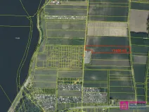 Prodej sadu/vinice, Přítluky - Nové Mlýny, 17804 m2