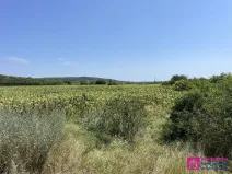 Prodej sadu/vinice, Přítluky - Nové Mlýny, 17804 m2