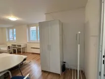 Pronájem bytu 1+1, Praha - Nusle, Družstevní, 36 m2