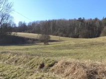 Dražba louky, Úštěk, 4600 m2