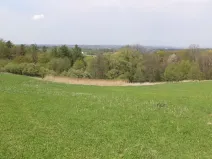 Dražba louky, Chotěbuz, 6967 m2