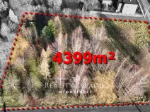 Prodej pozemku pro bydlení, Horní Bludovice, 4399 m2