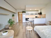 Pronájem bytu 1+kk, Olomouc - Povel, Slavonínská, 41 m2