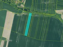 Dražba pole, Dražíč, 11296 m2