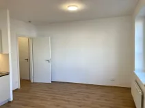 Pronájem bytu 2+kk, Praha - Žižkov, Na rovnosti, 52 m2