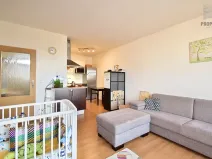 Pronájem bytu 2+kk, Brno, Bučkova, 49 m2