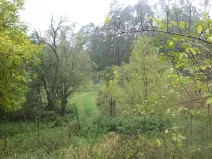 Dražba louky, Biskupice-Pulkov, 986 m2