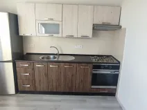 Pronájem bytu 1+1, Ostrava, Ahepjukova, 37 m2