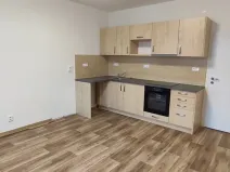 Pronájem bytu 3+kk, Ostrava, 28. října, 49 m2