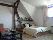 Pronájem bytu 1+1, Brno, Zvěřinova, 53 m2