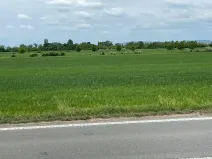 Prodej pole, Brno, 11752 m2