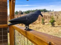 Prodej pozemku, Opatov, 12118 m2