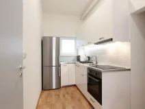 Pronájem bytu 1+kk, Brno, Cejl, 10 m2