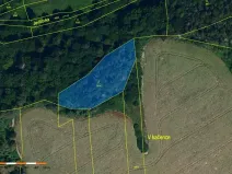 Prodej lesa, Boskovštejn, 2506 m2