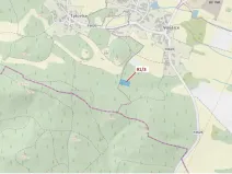 Dražba lesa, Pačejov, 1958 m2