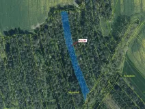 Dražba lesa, Koloveč, 3368 m2