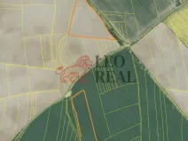 Prodej pole, Vstiš, 76424 m2