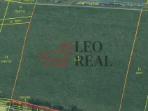 Prodej pole, Vstiš, 76424 m2