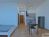 Pronájem bytu 1+kk, Olomouc - Hodolany, Holická, 42 m2