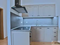 Pronájem bytu 1+kk, Olomouc - Hodolany, Holická, 42 m2